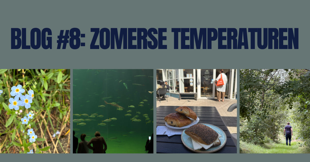 Ons blog #8: Zomerse temperaturen