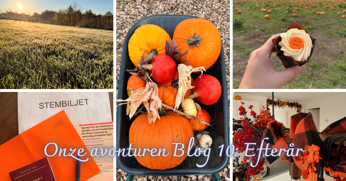 Ons avonturen blog #10: Efterรฅr