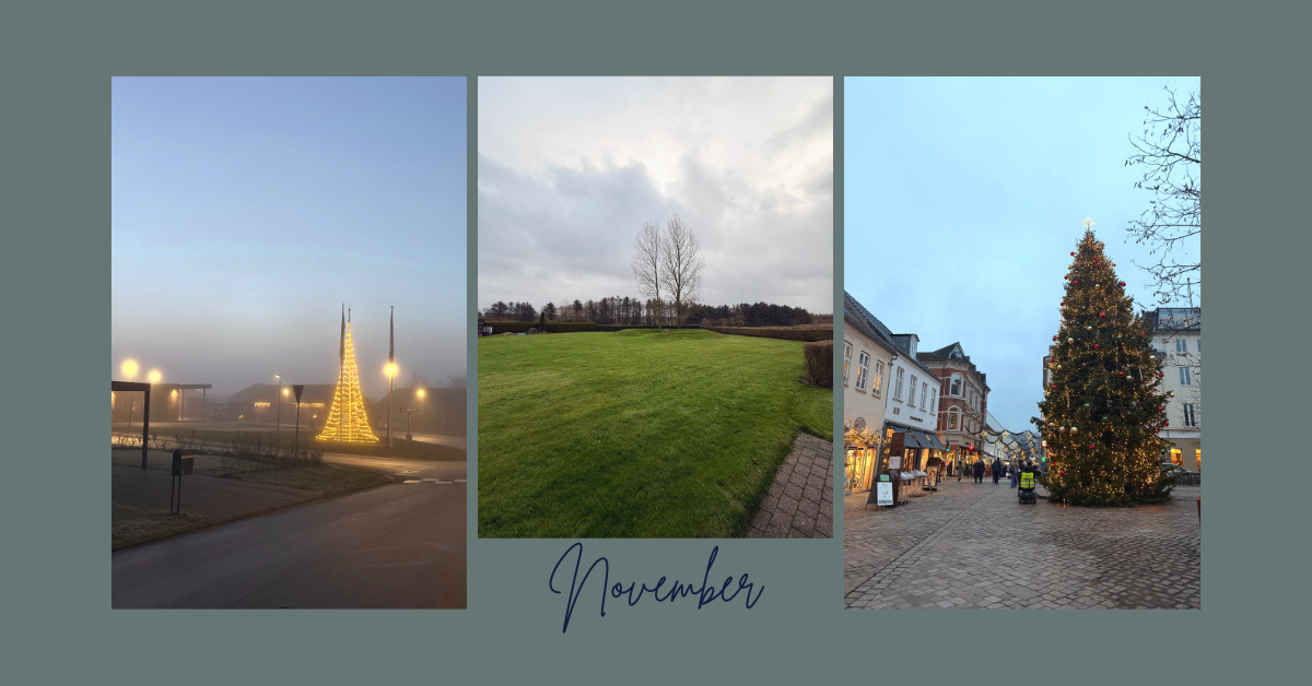 Ons Deens avontuur #11: Huizenjacht