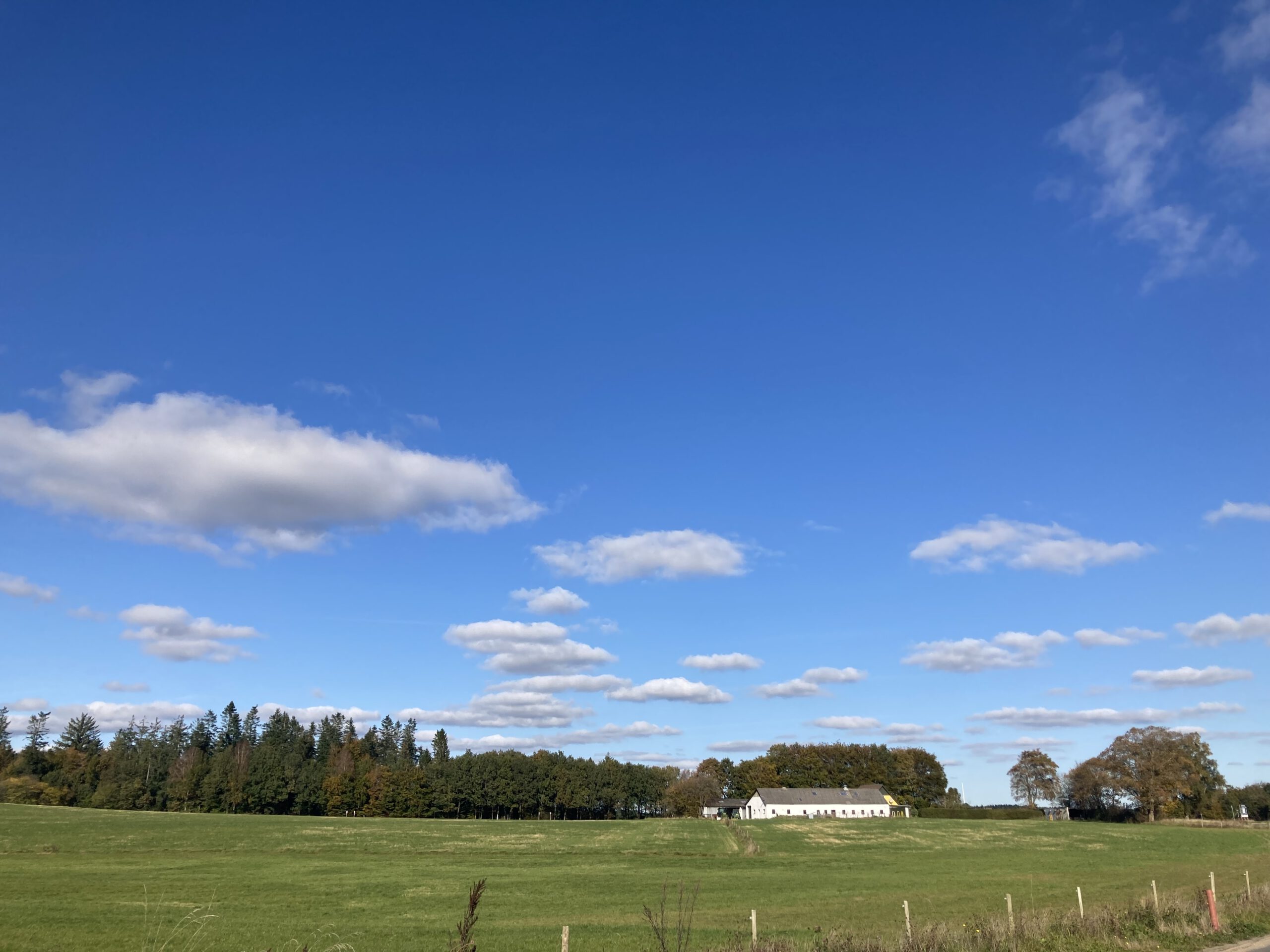 Emigreren naar Denemarken